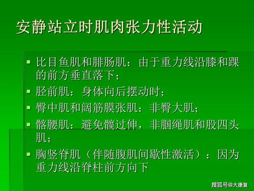 平衡與協(xié)調(diào)功能評(píng)估與訓(xùn)練