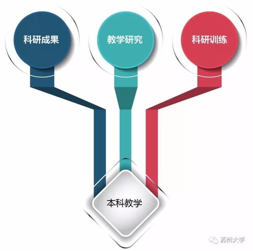審核評估系列六 圖解 蘇大本科人才培養(yǎng)過程